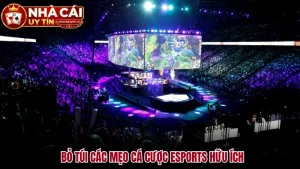 Mẹo Cá Cược Esport Quan Trọng Dành Cho Người Mới 2026